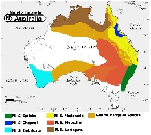 Range Map of Morelia spilota ssp.